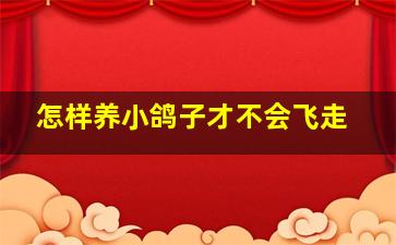 怎样养小鸽子才不会飞走