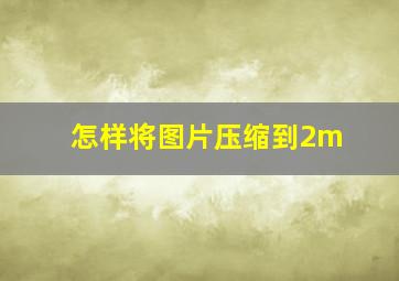 怎样将图片压缩到2m