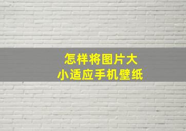 怎样将图片大小适应手机壁纸