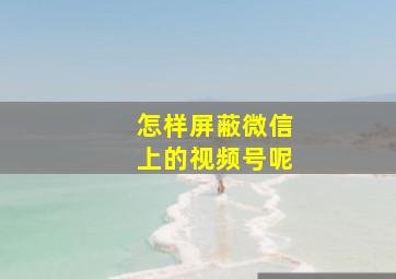 怎样屏蔽微信上的视频号呢