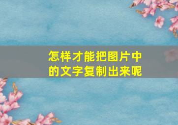 怎样才能把图片中的文字复制出来呢