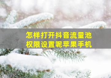 怎样打开抖音流量池权限设置呢苹果手机