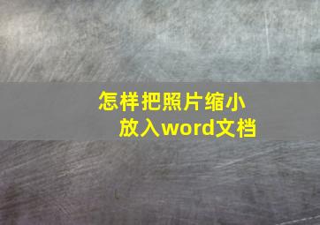 怎样把照片缩小放入word文档