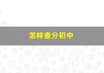 怎样查分初中