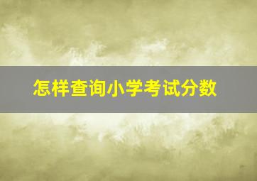 怎样查询小学考试分数