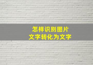 怎样识别图片文字转化为文字