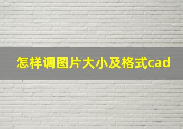 怎样调图片大小及格式cad