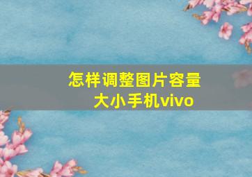 怎样调整图片容量大小手机vivo