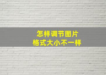 怎样调节图片格式大小不一样