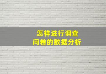 怎样进行调查问卷的数据分析