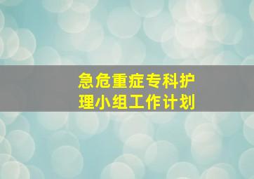 急危重症专科护理小组工作计划