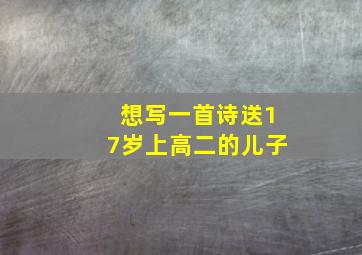 想写一首诗送17岁上高二的儿子