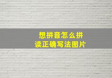 想拼音怎么拼读正确写法图片