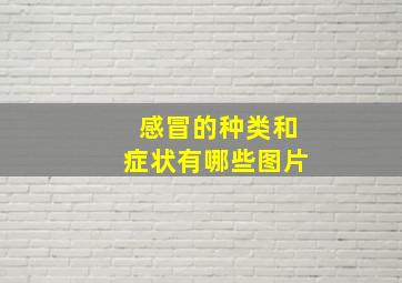 感冒的种类和症状有哪些图片