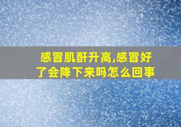 感冒肌酐升高,感冒好了会降下来吗怎么回事