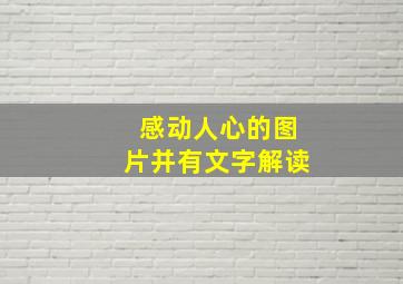 感动人心的图片并有文字解读