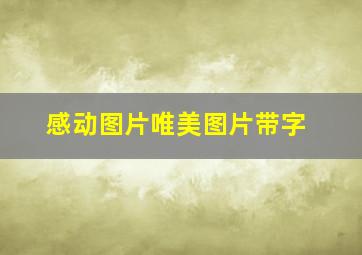 感动图片唯美图片带字