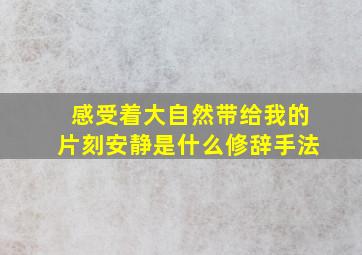 感受着大自然带给我的片刻安静是什么修辞手法