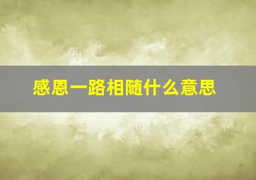 感恩一路相随什么意思