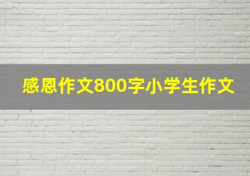 感恩作文800字小学生作文