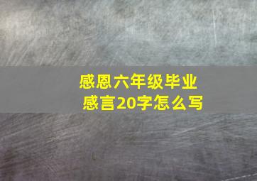 感恩六年级毕业感言20字怎么写