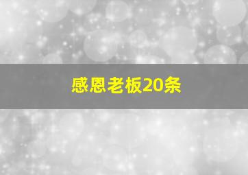 感恩老板20条