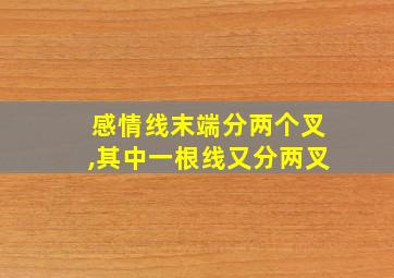 感情线末端分两个叉,其中一根线又分两叉