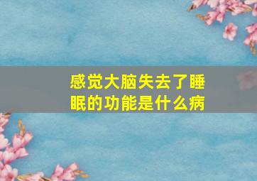 感觉大脑失去了睡眠的功能是什么病