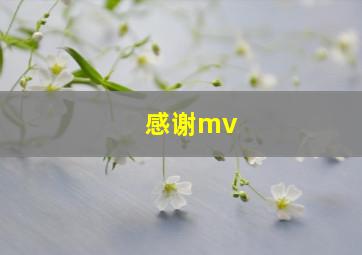 感谢mv