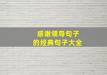 感谢领导句子的经典句子大全