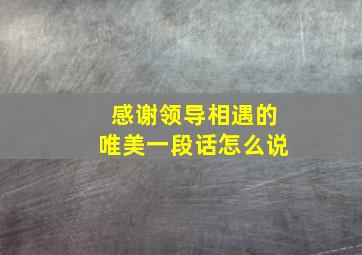 感谢领导相遇的唯美一段话怎么说