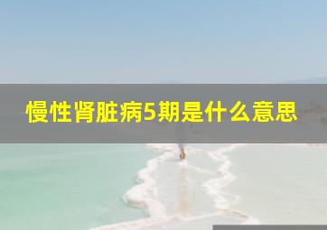 慢性肾脏病5期是什么意思