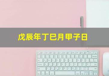 戊辰年丁巳月甲子日