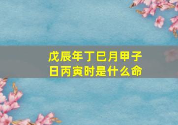 戊辰年丁巳月甲子日丙寅时是什么命