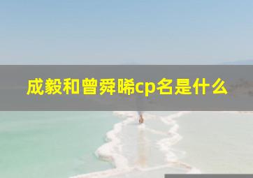 成毅和曾舜晞cp名是什么