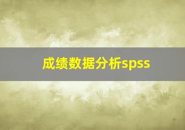 成绩数据分析spss