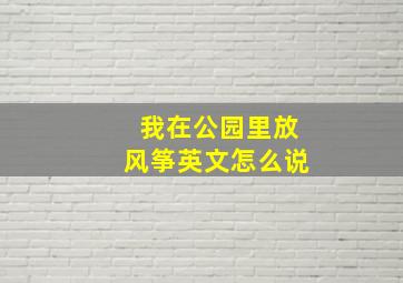 我在公园里放风筝英文怎么说