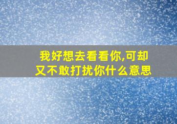 我好想去看看你,可却又不敢打扰你什么意思