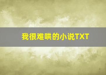 我很难哄的小说TXT