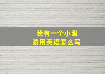 我有一个小眼睛用英语怎么写