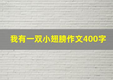 我有一双小翅膀作文400字