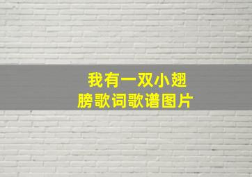 我有一双小翅膀歌词歌谱图片