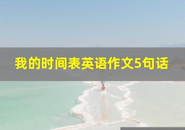 我的时间表英语作文5句话