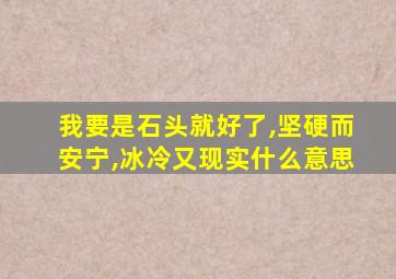 我要是石头就好了,坚硬而安宁,冰冷又现实什么意思