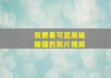 我要看可爱版瞌睡猫的照片视频