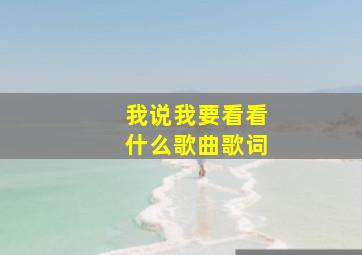 我说我要看看什么歌曲歌词