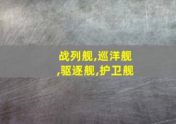 战列舰,巡洋舰,驱逐舰,护卫舰