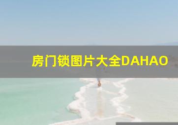 房门锁图片大全DAHAO