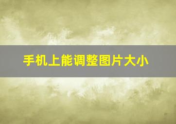 手机上能调整图片大小