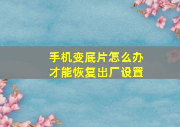 手机变底片怎么办才能恢复出厂设置